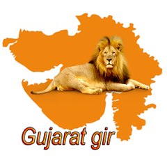 Gujarat gir