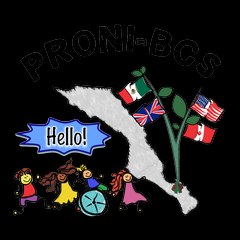 PRONIBCS