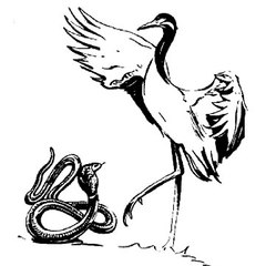Rigoru