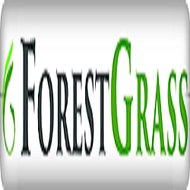 forestgrass