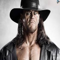 WWE Fight