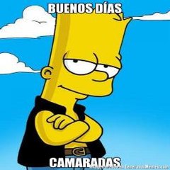 Vídeos Loucos
