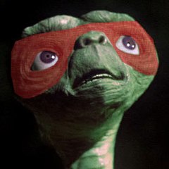 TurtleHands