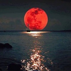 Aczenbuddhist1
