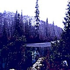 Tehopehuku