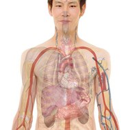 Symptoms Youtube Channel