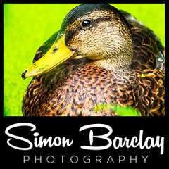 Simon-Barclay.com