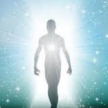 The Galactic Federation of Light