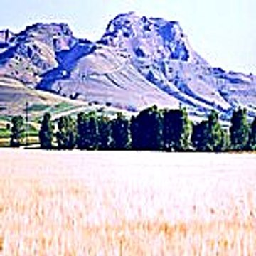 Deyilekew