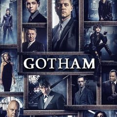 Gotham ~ (FOX Networks HD)