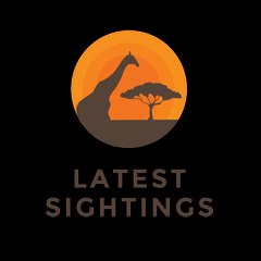 Latest Sightings