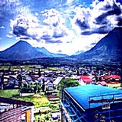 Cisogiyedi