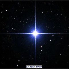 Alpha Canis Majoris