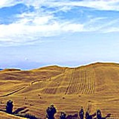 Bohegi