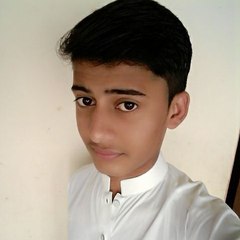 Shaheer Urdupoint