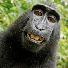 Minh Trường Trần