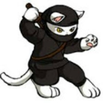 Brofessorninjacat