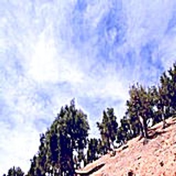 Lakumow