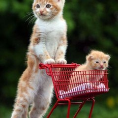 beauties of world