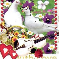 I hope see