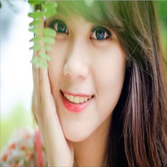 Quỳnh Yên