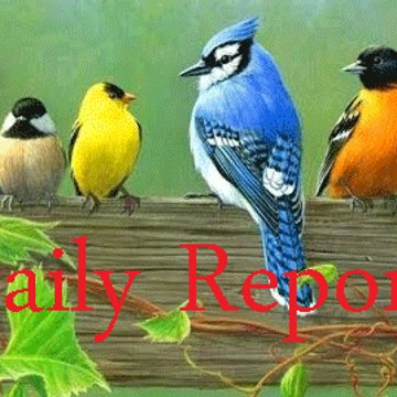 Daily Report Wildlife