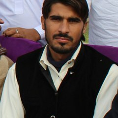 Ghulam Mustafa