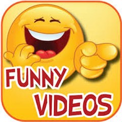 Funny Videos