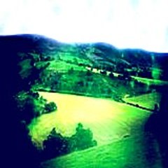 Yimed