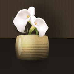 Dr. G. Moldenhauer and Associates