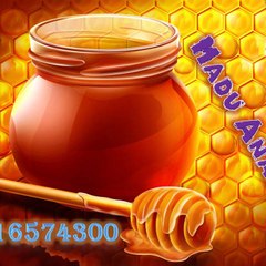 jual madu Anak Murah,Distributor Madu Spesial