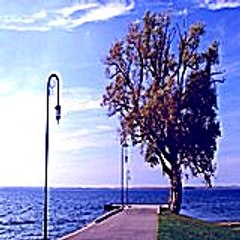Zizitozi