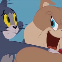 CartoonPalace