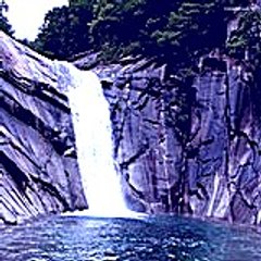 Fobakuk