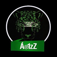 Ar1zZ