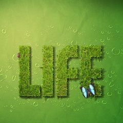 Life
