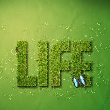 Life