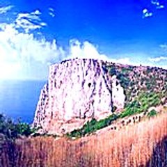 Bisos
