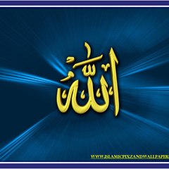 Tayyaba Noureen1061