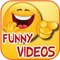 funny videos