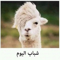 رحاب الدنيا