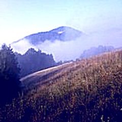 Hiyuse
