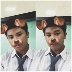 Roman Picisan