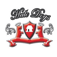HaloDogsLondon