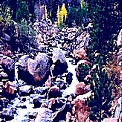 Pajac