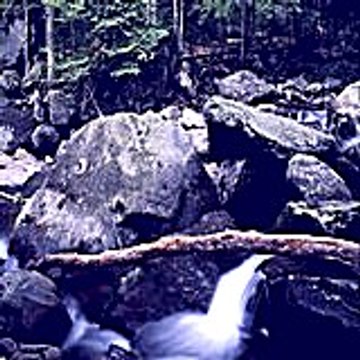 Hubepoji