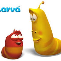 Larva official