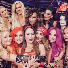 Wwe womens of wrestling