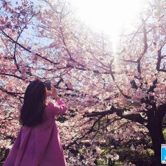 毎日ショー