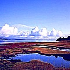 Nalarul